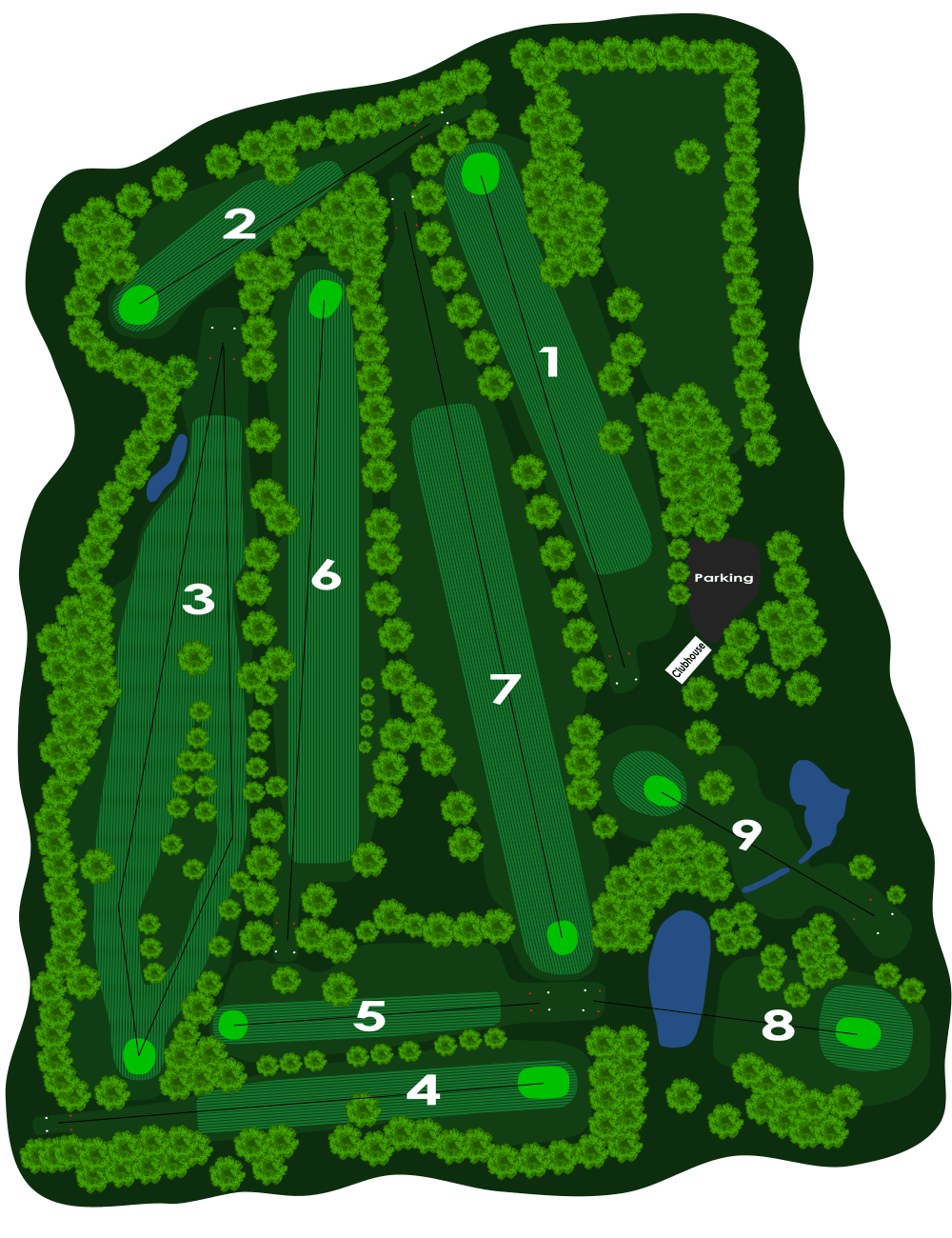 Course Layout